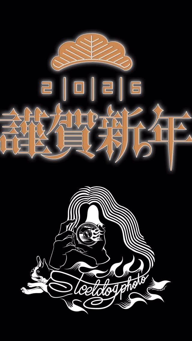 ☆HAPPY NEW YEAR 2026☆
⁡
あけましておめでとうございます！
昨年は当スタジオのドッグフォト撮影会に
たくさんのファミリーさまにお越しいただき
誠にありがとうございました！
⁡
今年もたくさんのわんちゃんと
そのファミリーさまにお会いできることを
スタッフ一同 心より楽しみにしております！
⁡
今年最初の投稿は景気よく
年末の撮影会にお越しいただいた
わんちゃんたちの勇姿を公開します♪
⁡
背景セット設営
@botanicalclover さま
@deco_green_9 さま
⁡
撮影
@dog_steeldog_photo